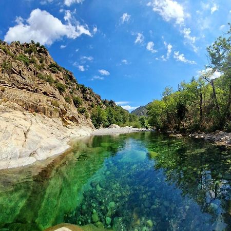 Domaine U Filanciu - Casa Ghjulia - Centru Di Corsica Villa Moltifao Dış mekan fotoğraf