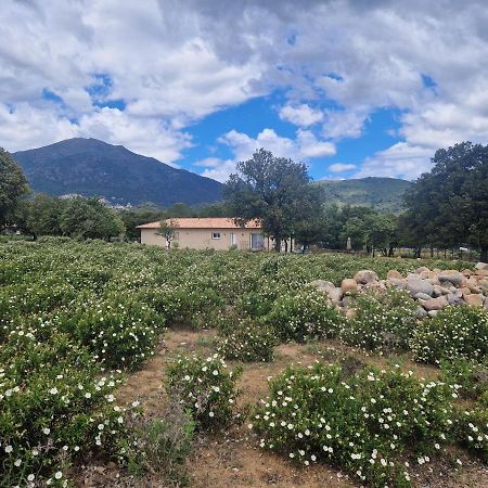 Domaine U Filanciu - Casa Ghjulia - Centru Di Corsica Villa Moltifao Dış mekan fotoğraf