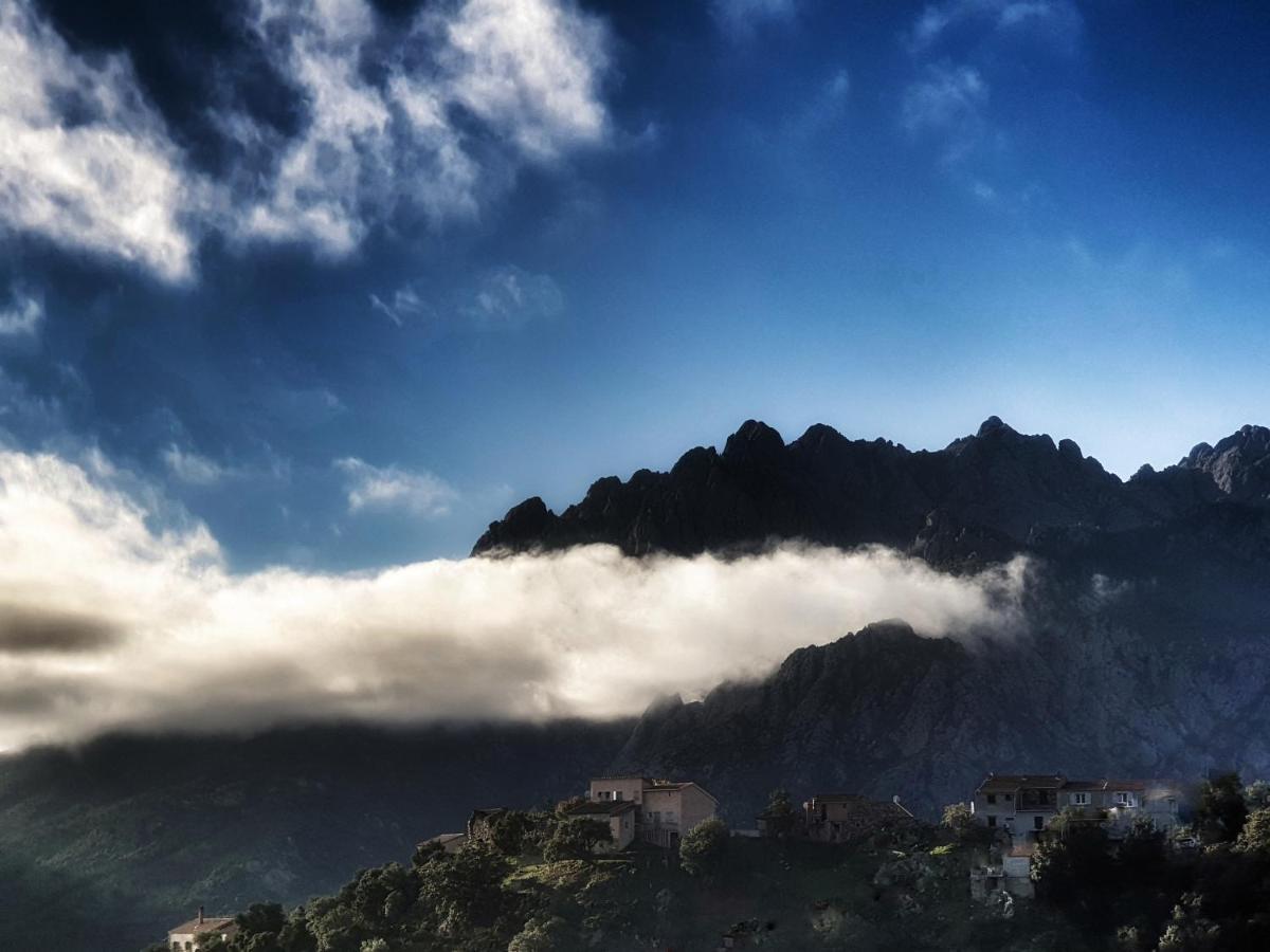 Domaine U Filanciu - Casa Ghjulia - Centru Di Corsica Villa Moltifao Dış mekan fotoğraf